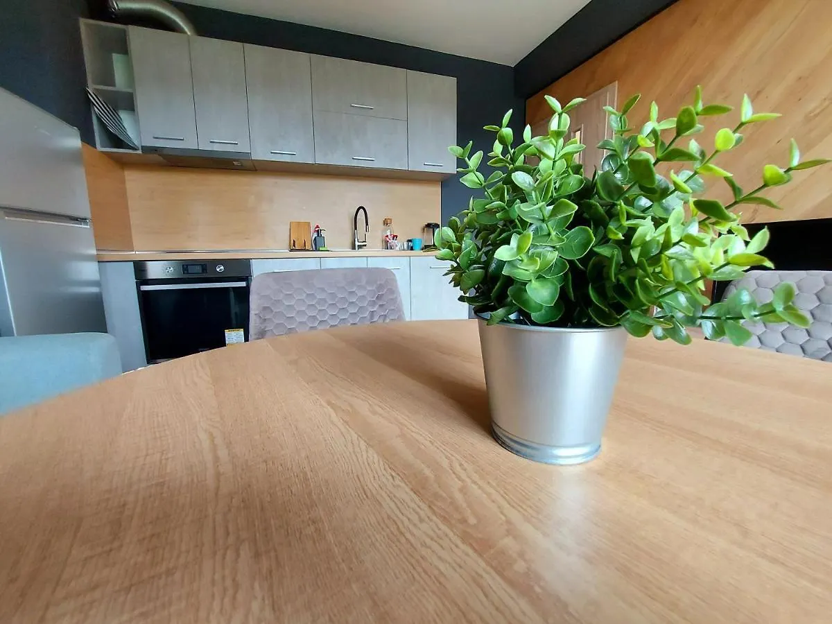 Grey Apartment ヴァルナ